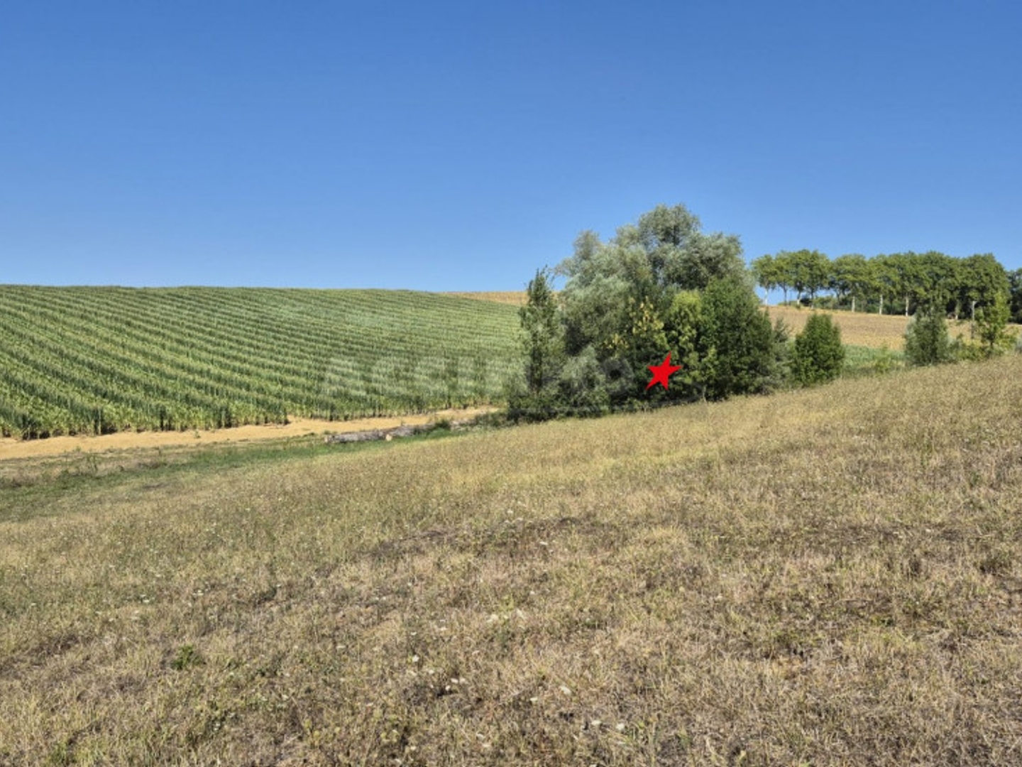 Terrain à vendre - 2201m2 - Lavaur (81500)