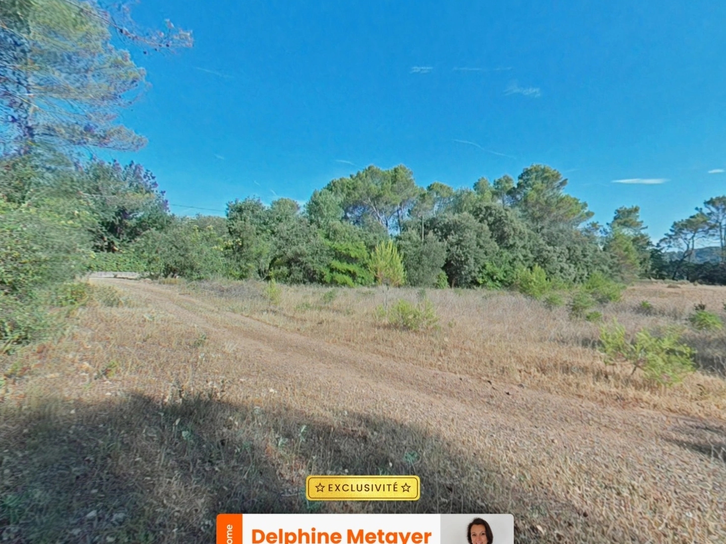 Terrain à vendre - 16500m2 - Le Thoronet (83340)