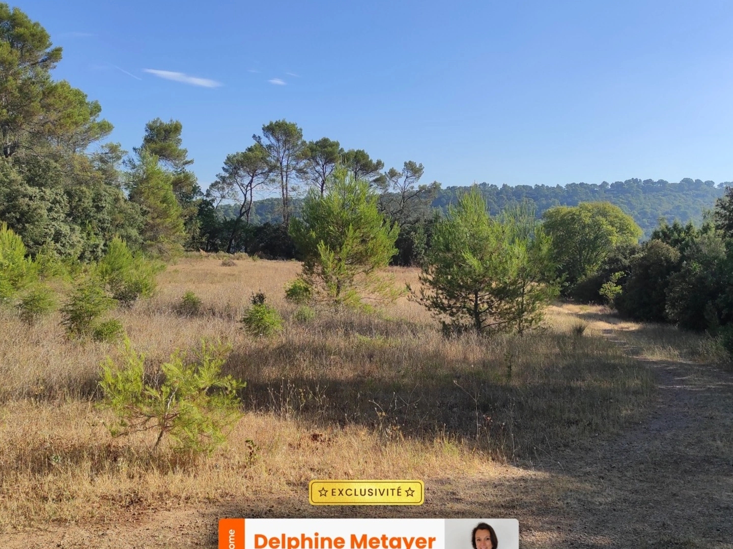 Terrain à vendre - 16500m2 - Le Thoronet (83340)