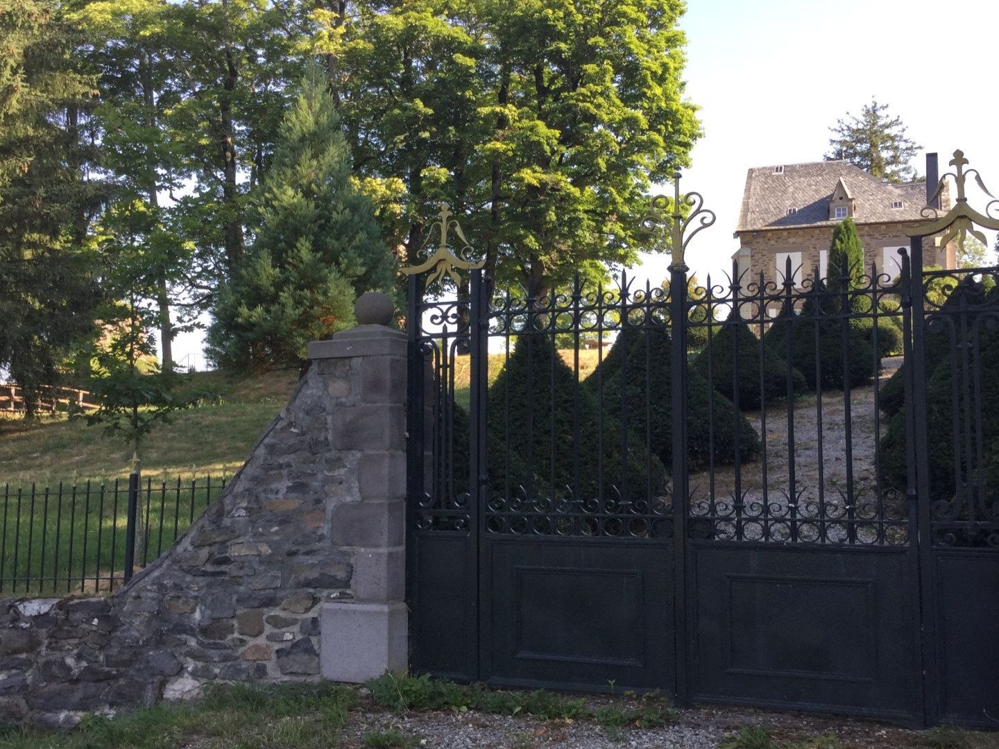 Maison à vendre - 680m2 - Marcenat (15190)