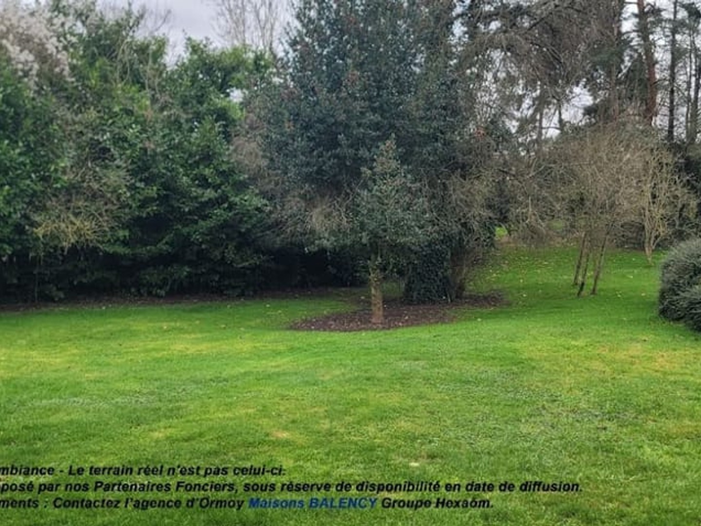 Terrain 379 m²