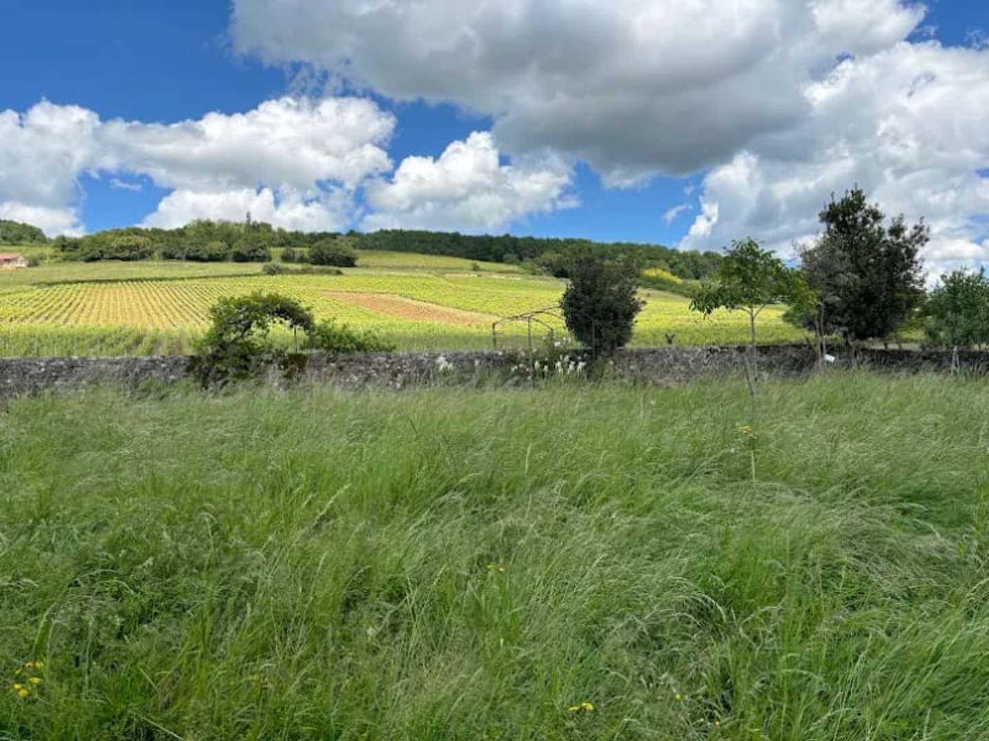 Propriété 8 pièces 192 m²