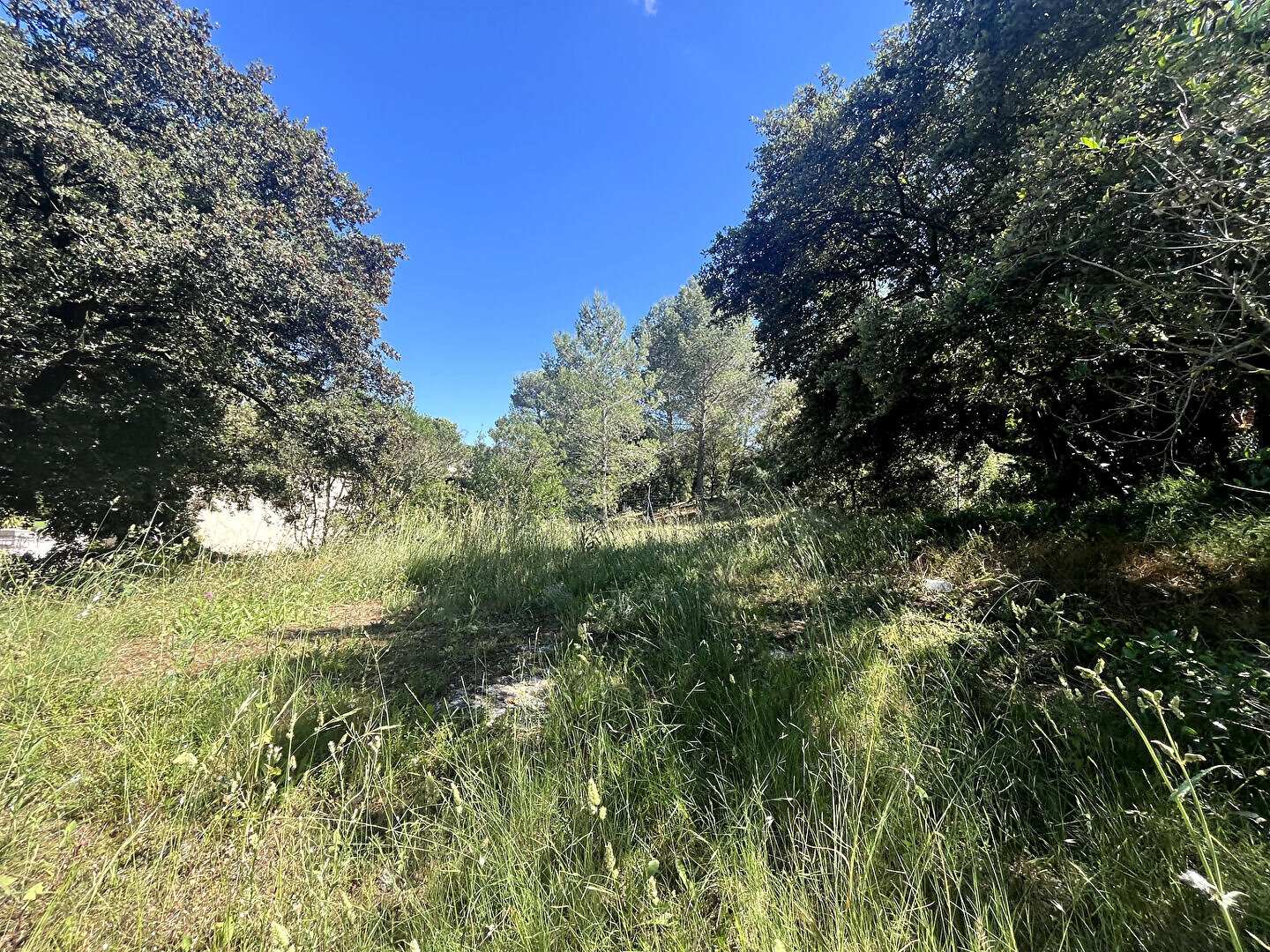 Terrain 910 m²
