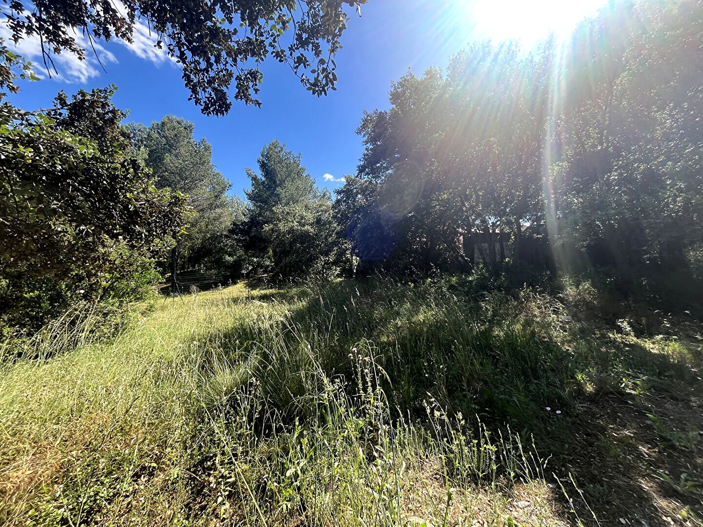 Terrain à vendre - 910m2 - Châteaurenard (13160)