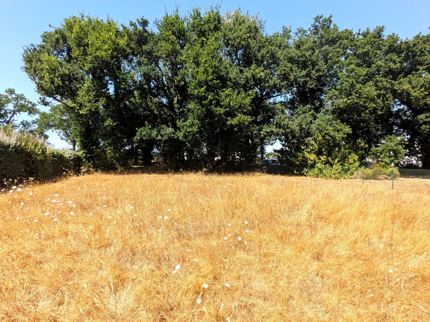 Terrain à vendre - 529m2 - Le Tour-Du-Parc (56370)