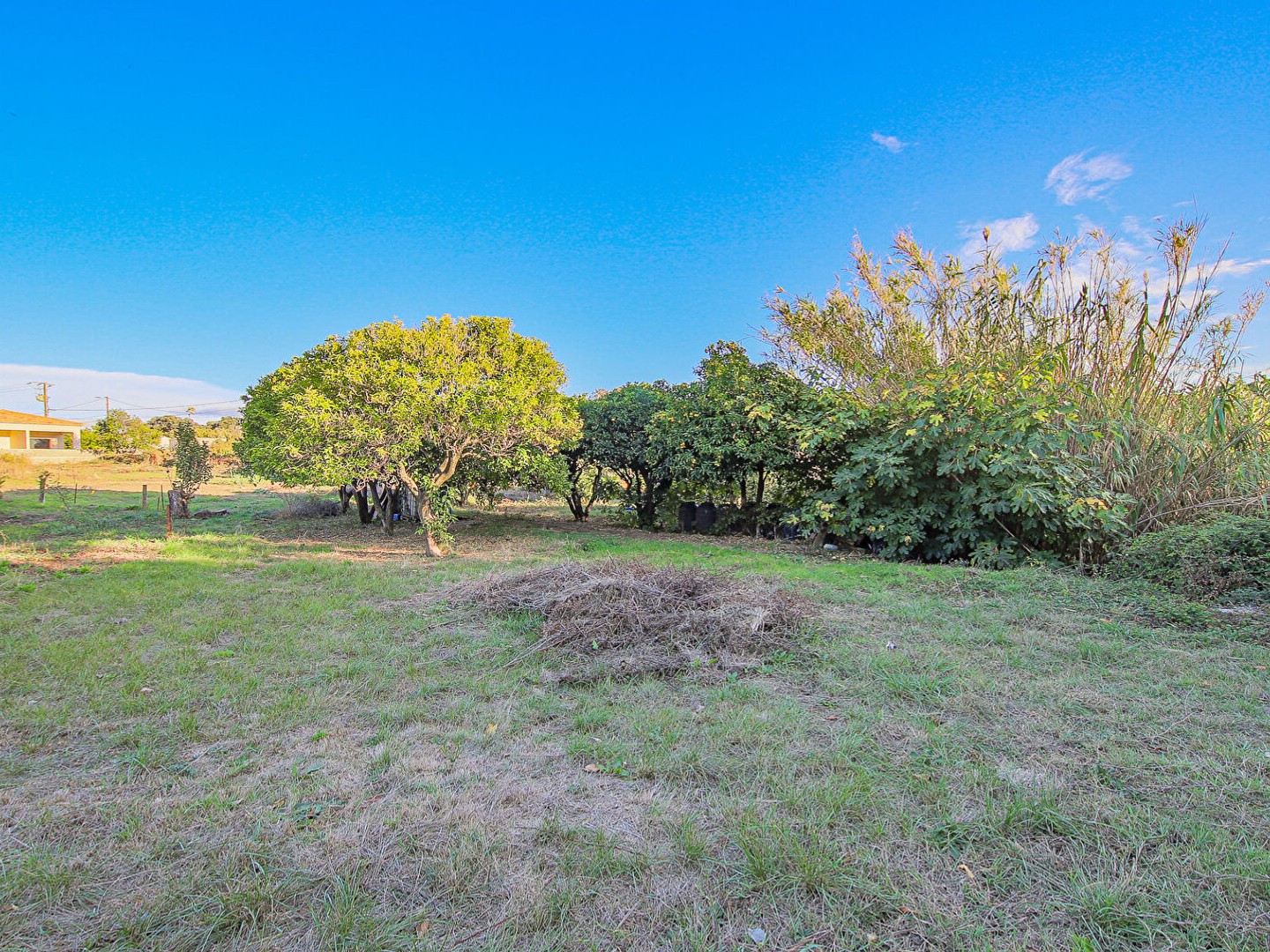 Terrain 1348 m²