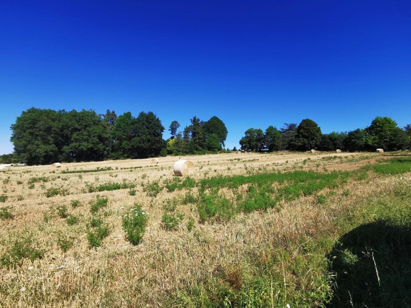 Terrain en zone constructible