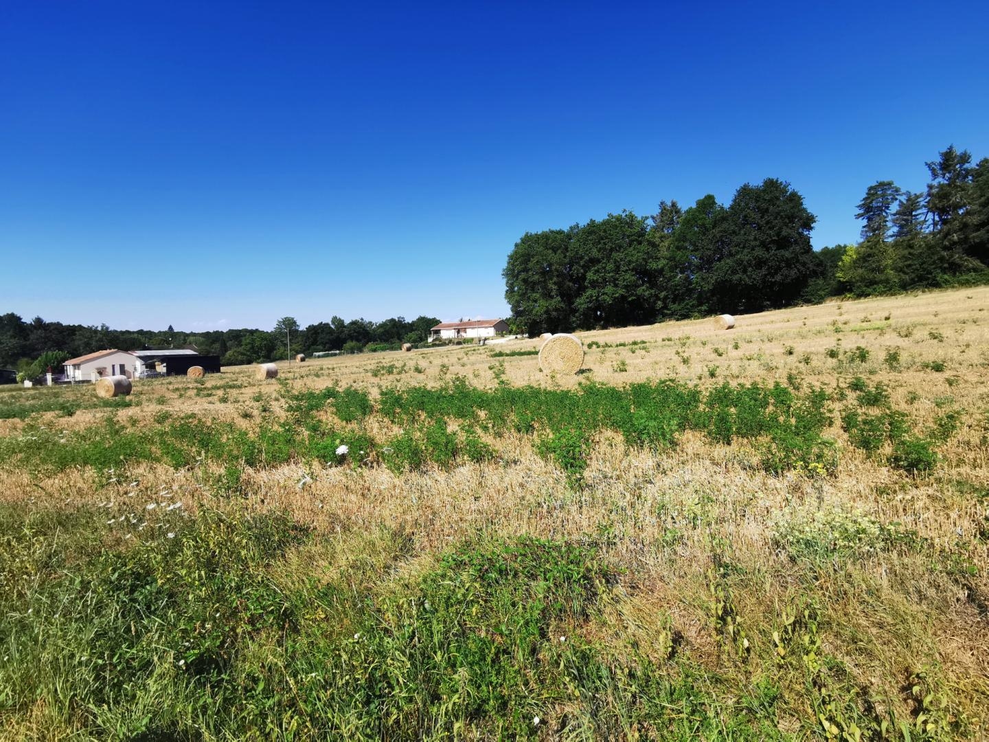 Terrain à vendre - 1577m2 - Varaignes (24360)