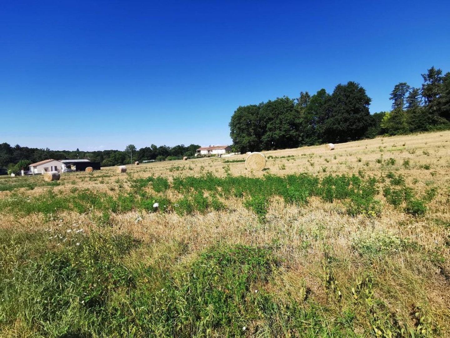 Terrain à vendre - 1577m2 - Varaignes (24360)