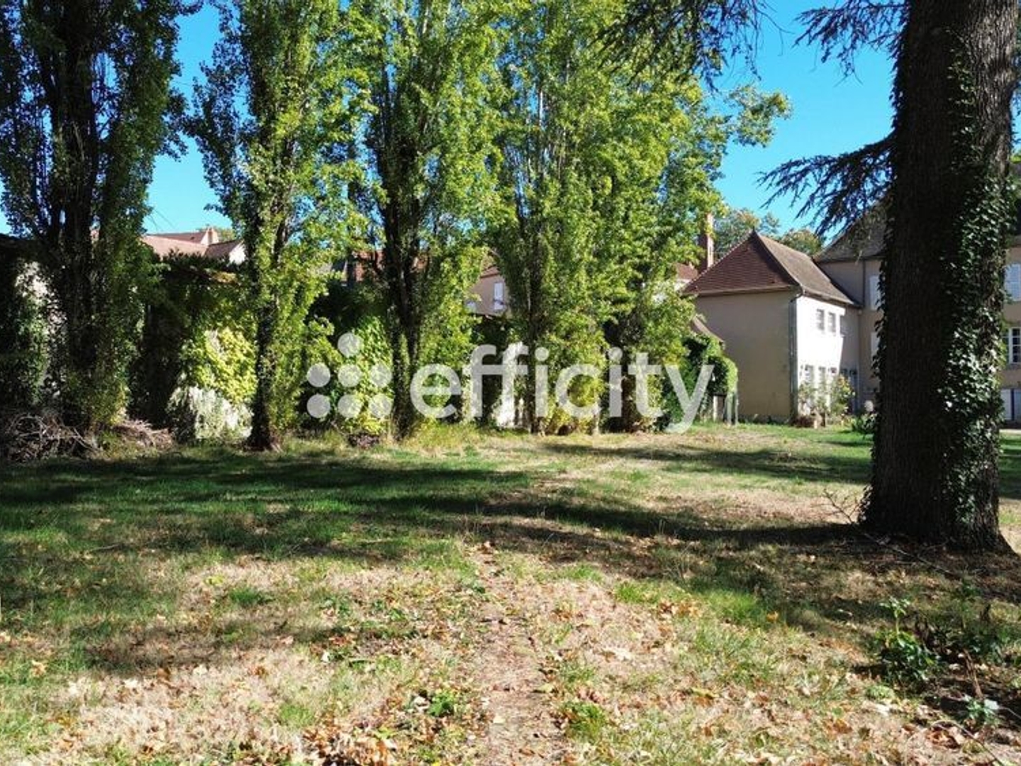Maison à vendre - 20 pièces - 550m2 - Saint-Gérand-Le-Puy (03150)