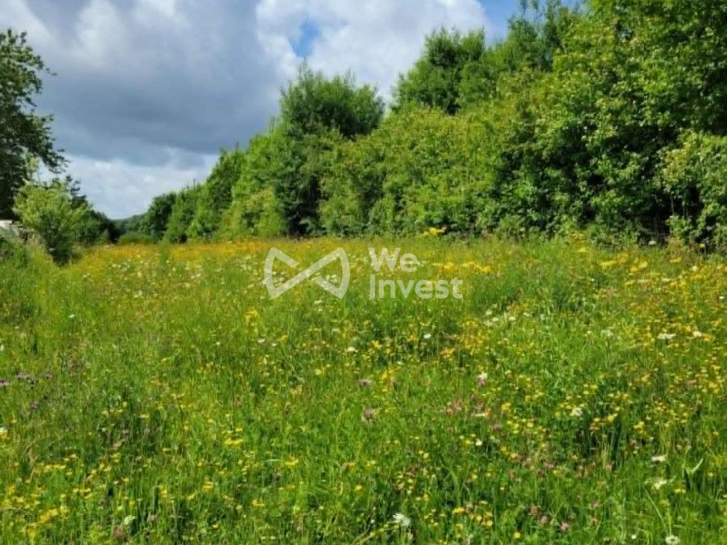 Terrain en individuel 3930 m²