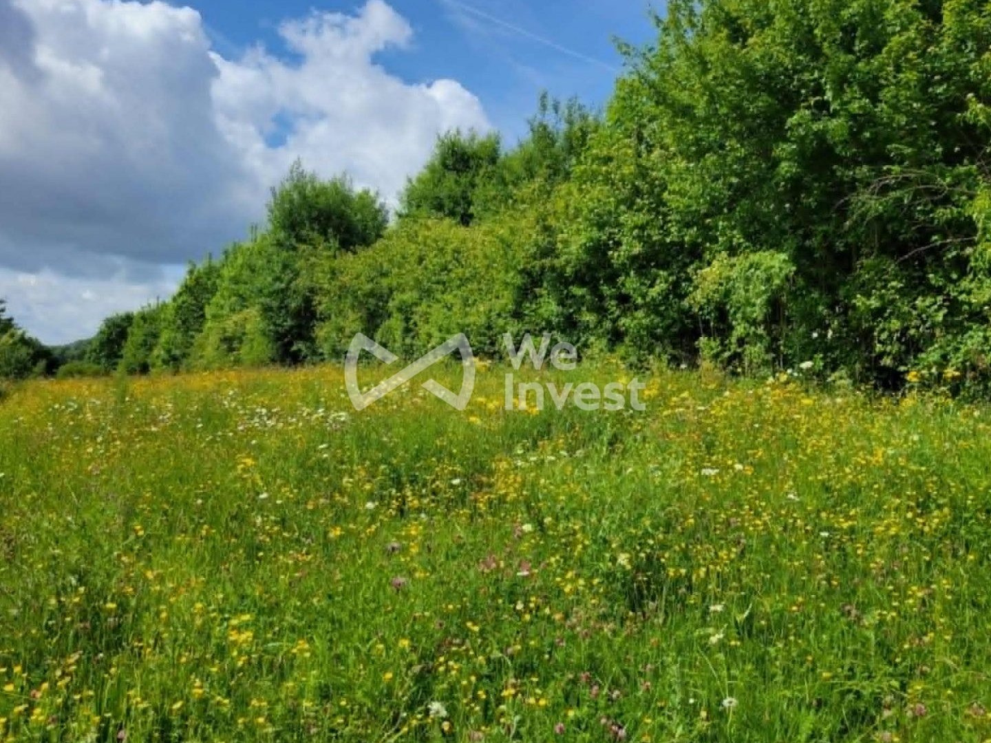 Terrain à vendre - 3930m2 - Bazeilles (08140)