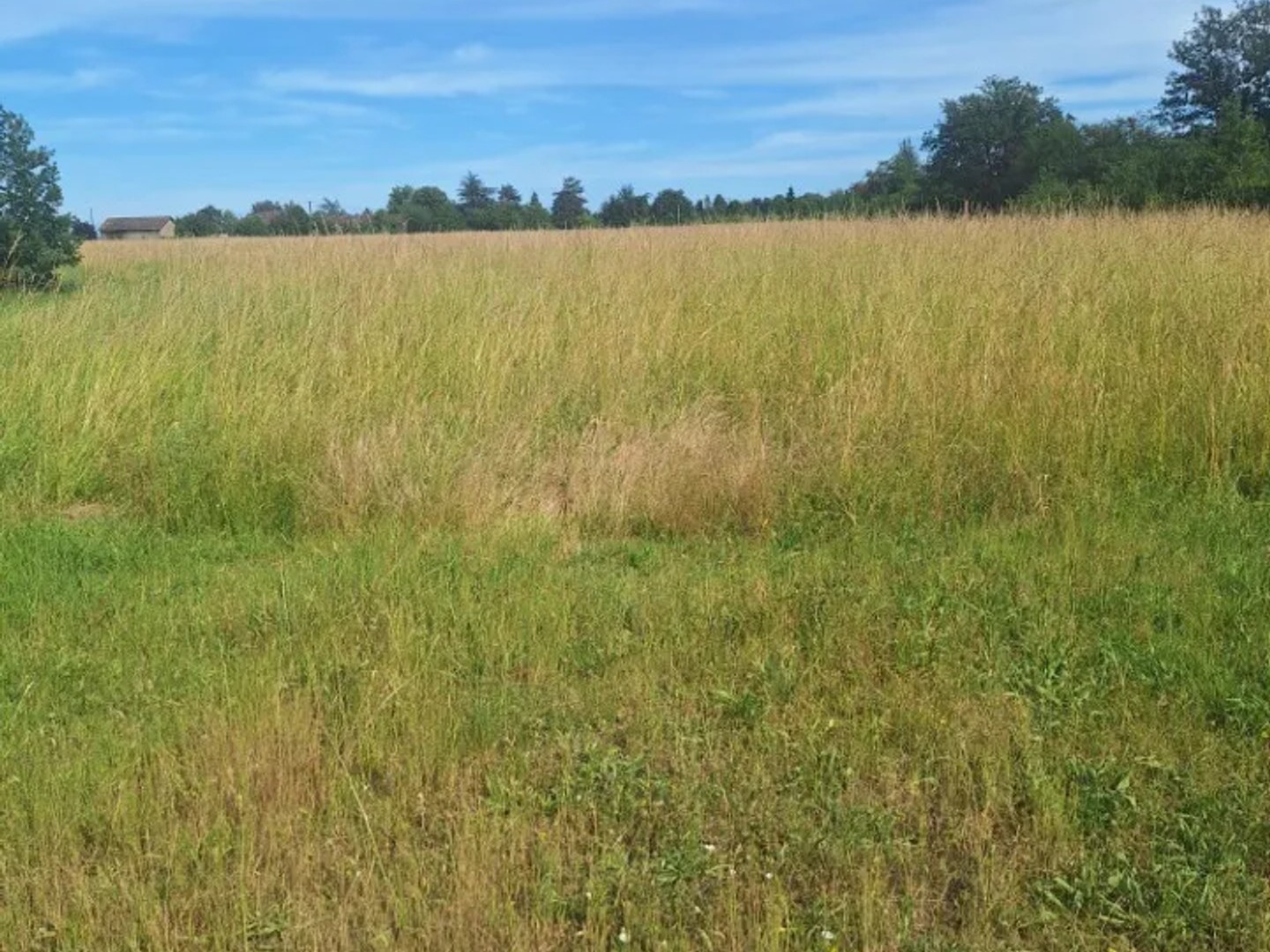 Terrain 922 m²