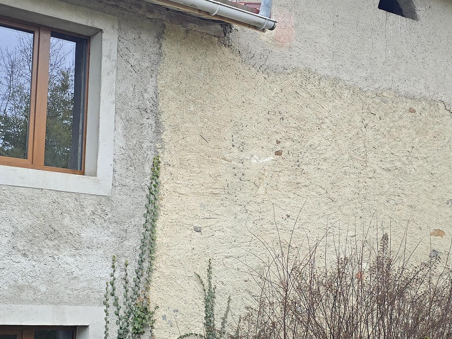 Maison à vendre - 11 pièces - 299m2 - Chevry (01170)