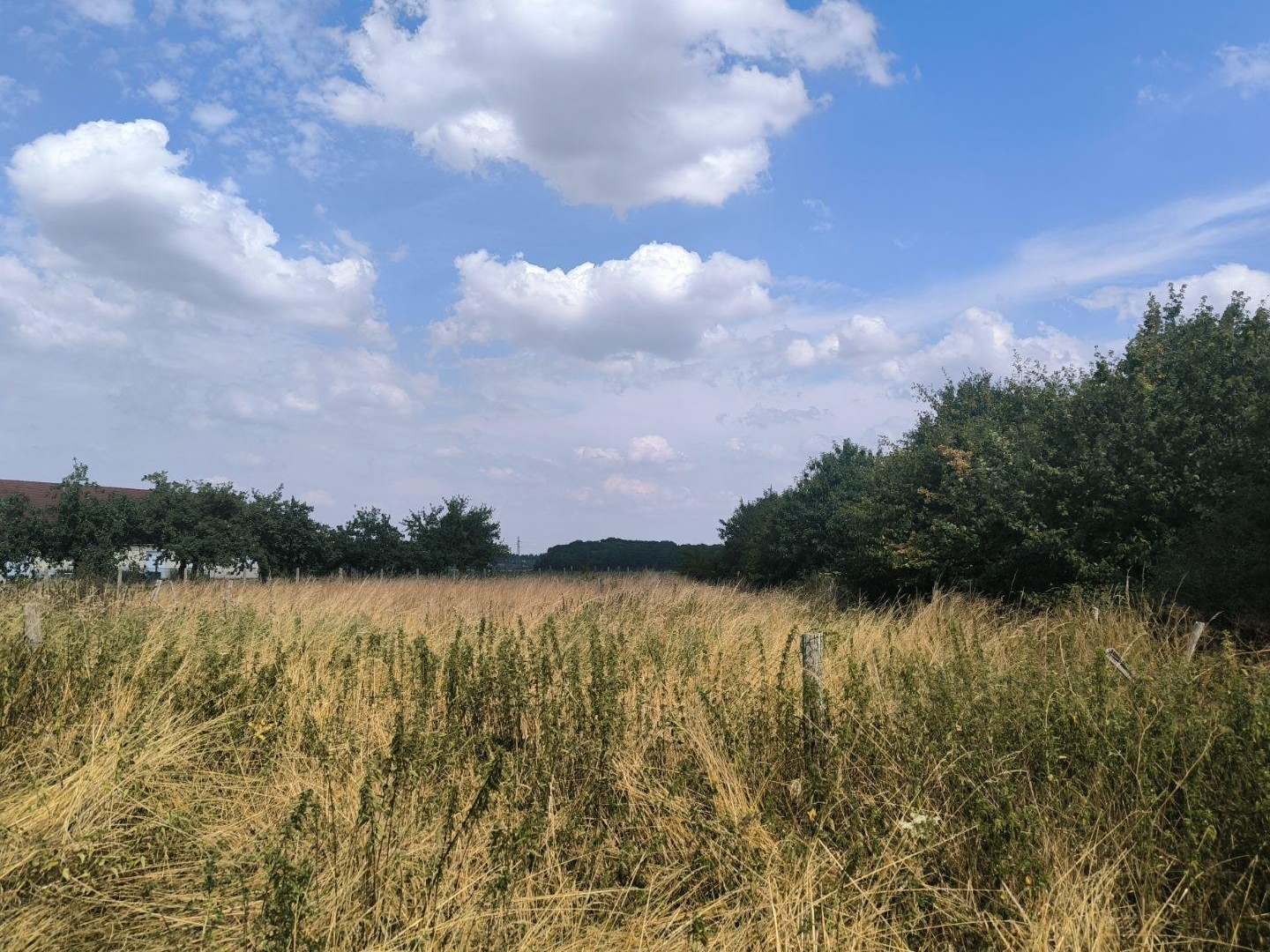Terrain à bâtir 1898 m²