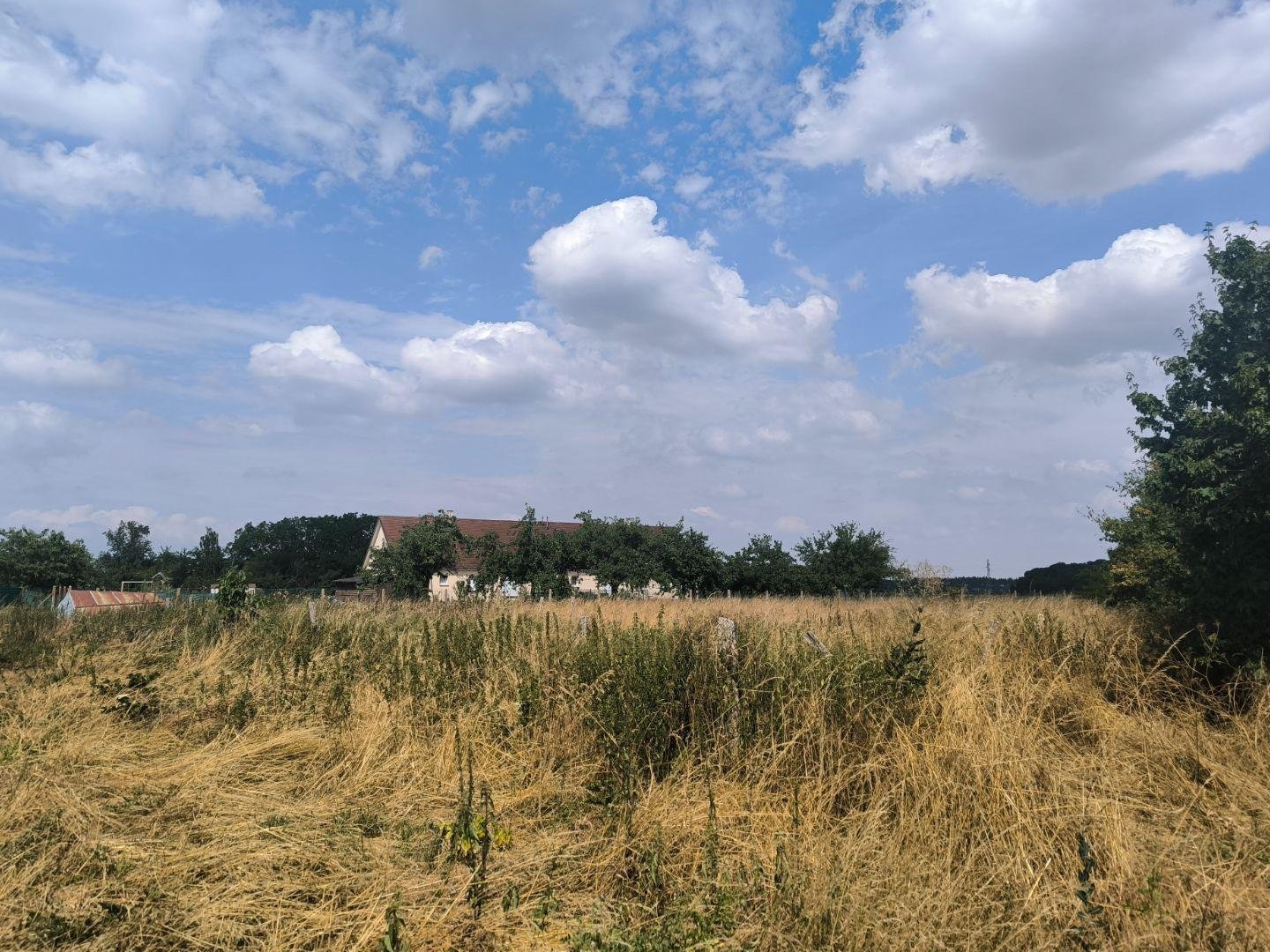 Terrain à vendre - 1898m2 - Bérengeville-La-C... (27110)