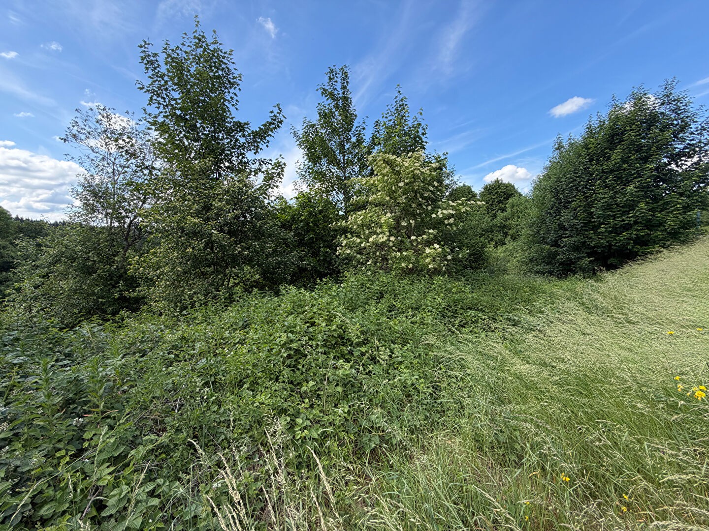Terrain 3673 m²