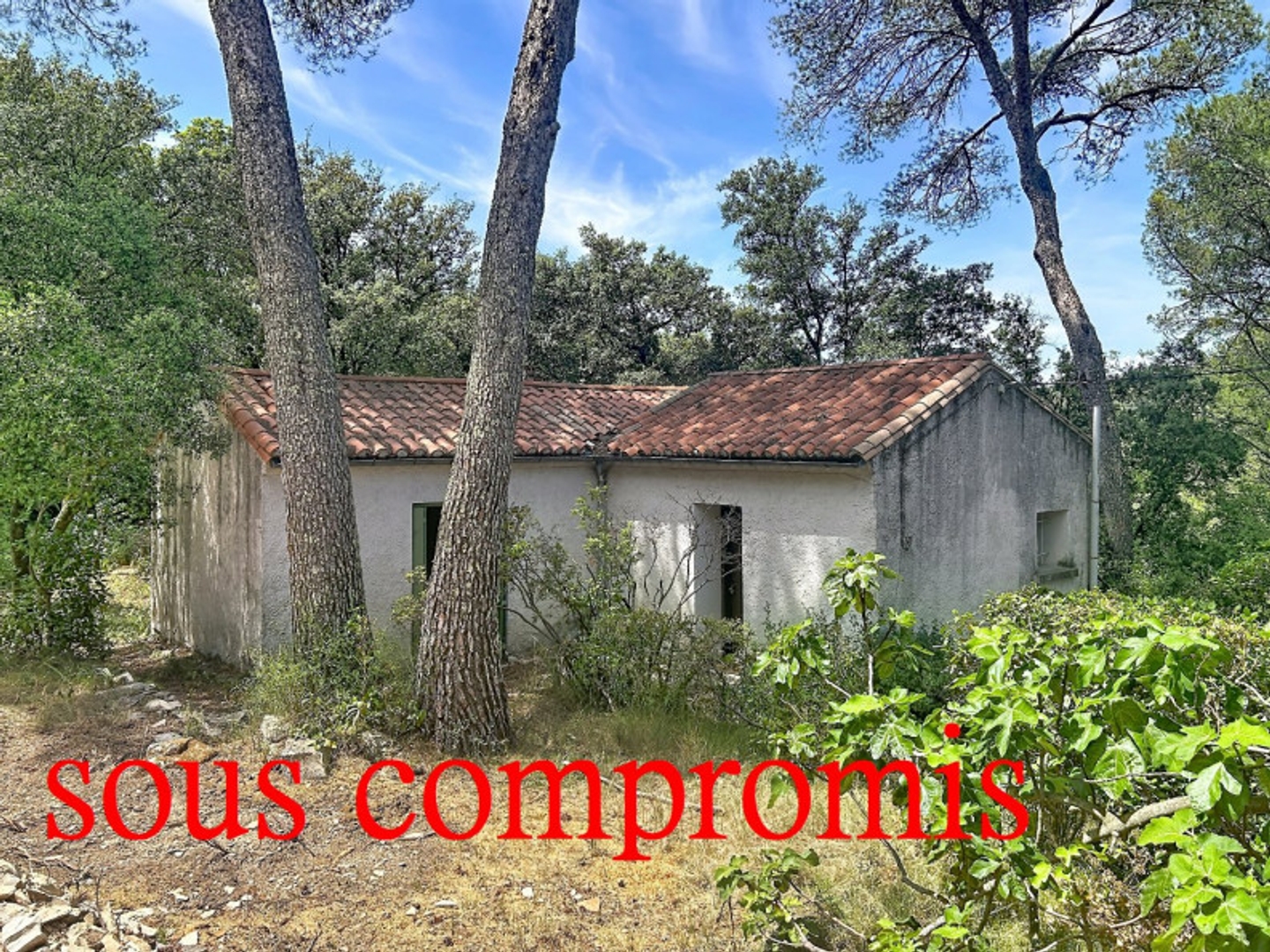 Maison 2 pièces 54 m²