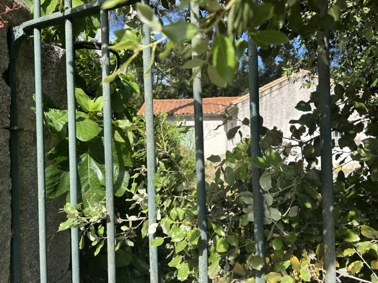 Maison à vendre - 2 pièces - 54m2 - Calvisson (30420)