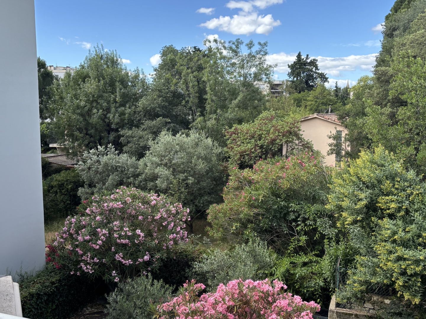 F2 - BEAUX ARTS - 56m2