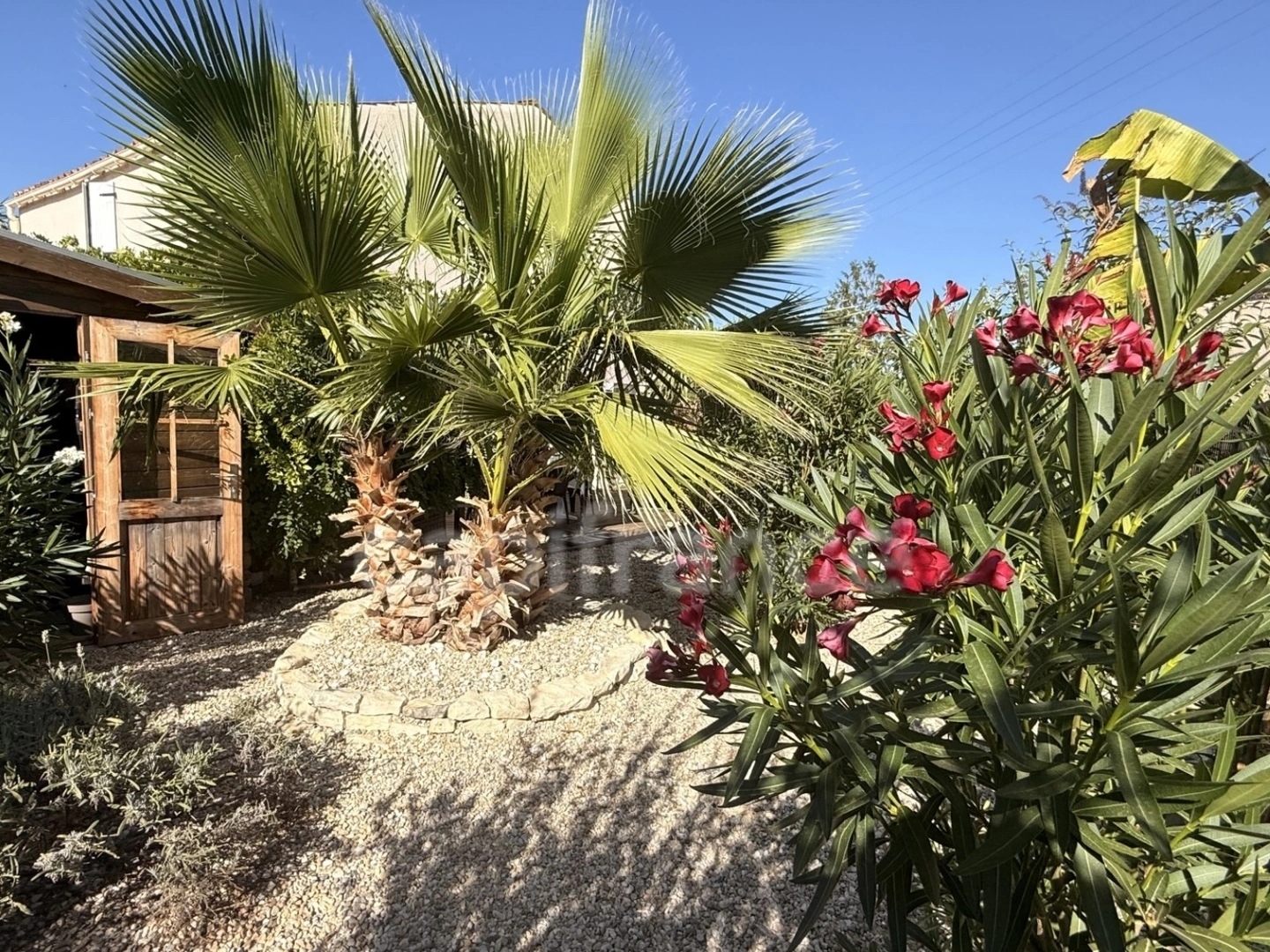 Maison à vendre - 3 pièces - 74m2 - Saint-Saturnin-Du... (17700)