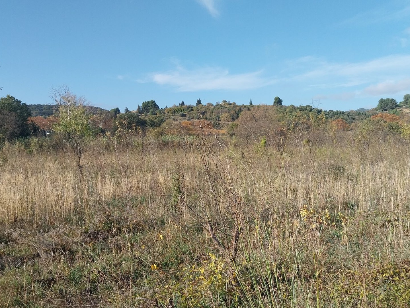 Terrain