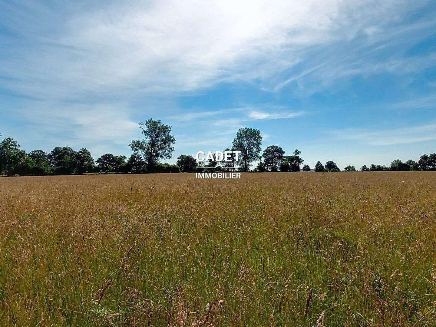 Terrain à vendre - 11918m2 - La Haye-Pesnel (50320)