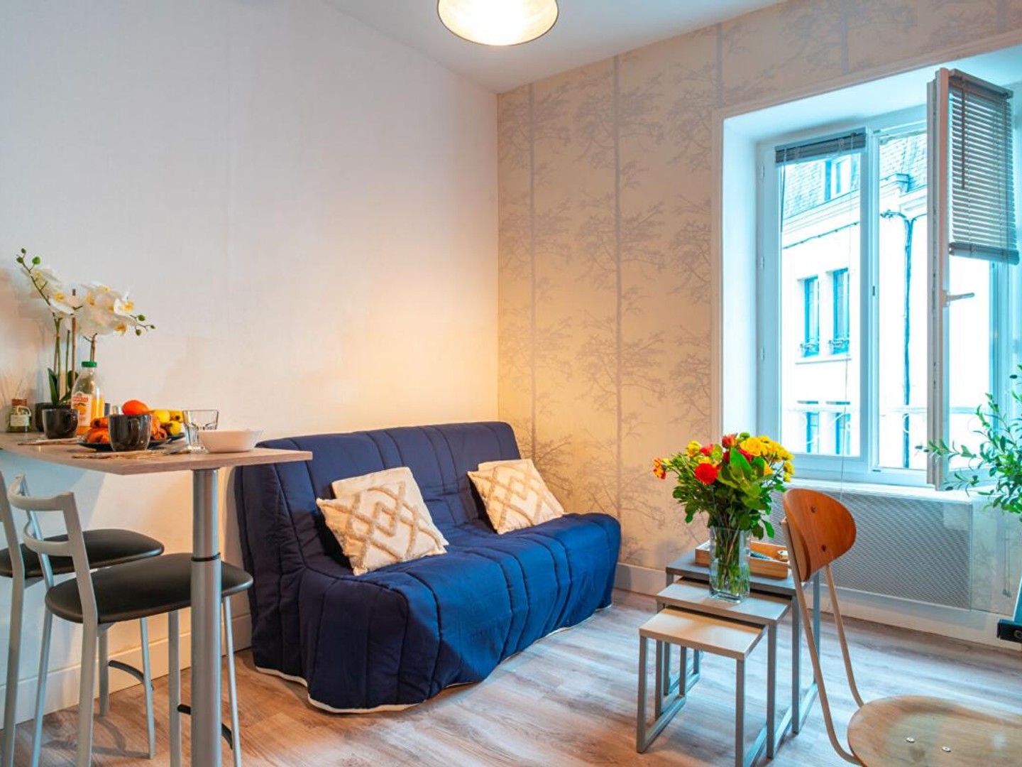 Investissement locatif idéal ! Ensemble de deux T2 rénovés et meublés