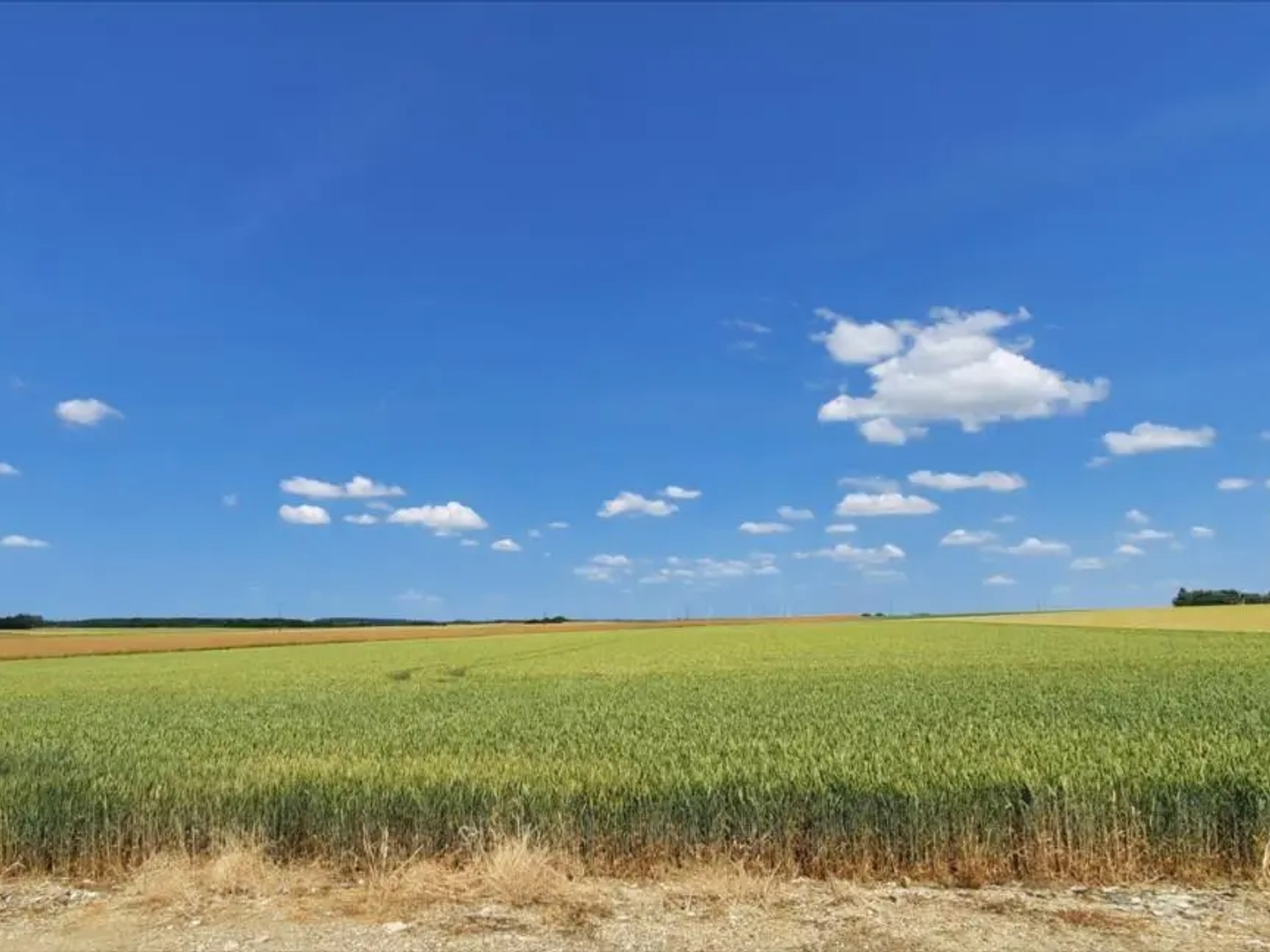 Locaux à vendre - 1060000m2 - La Chapelle-Saint... (36150)
