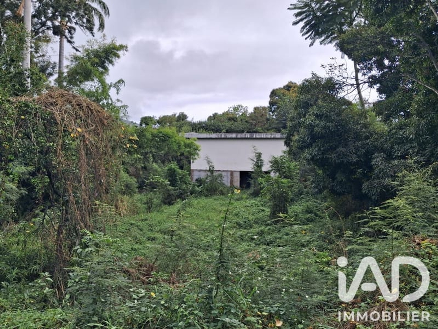 Terrain à vendre - 1900m2 - Saint-Denis (97400)