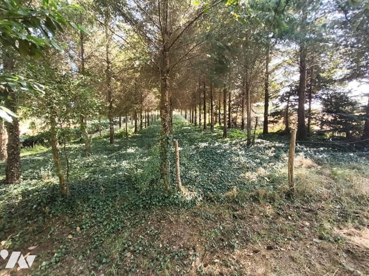 Terrain 6700 m²