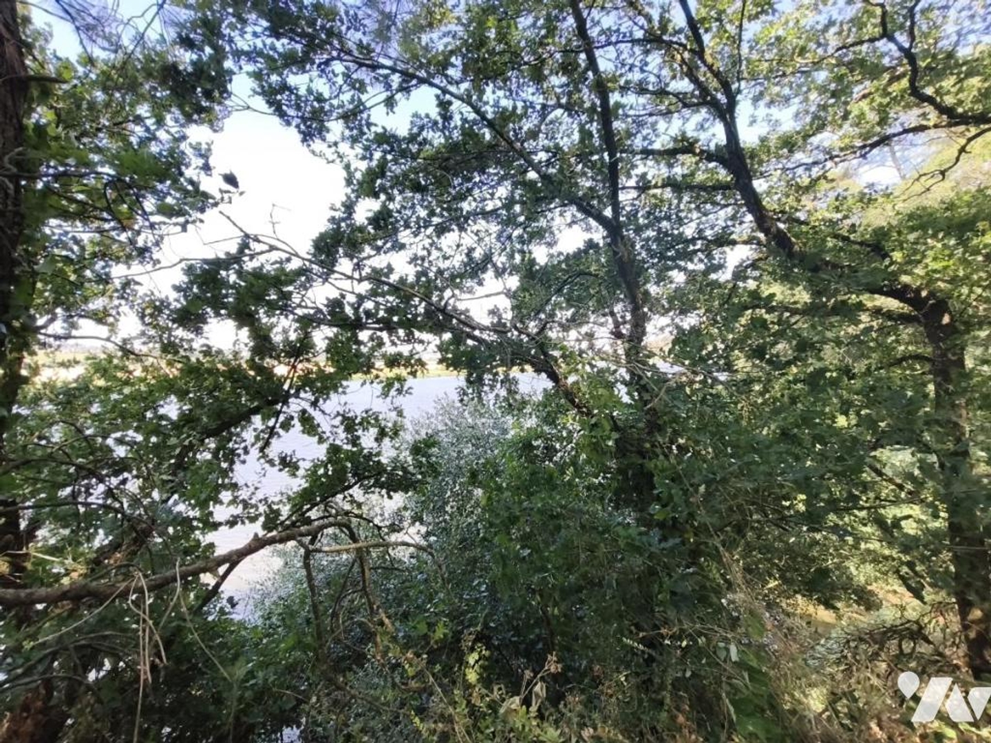 Terrain à vendre - 6700m2 - Nivillac (56130)