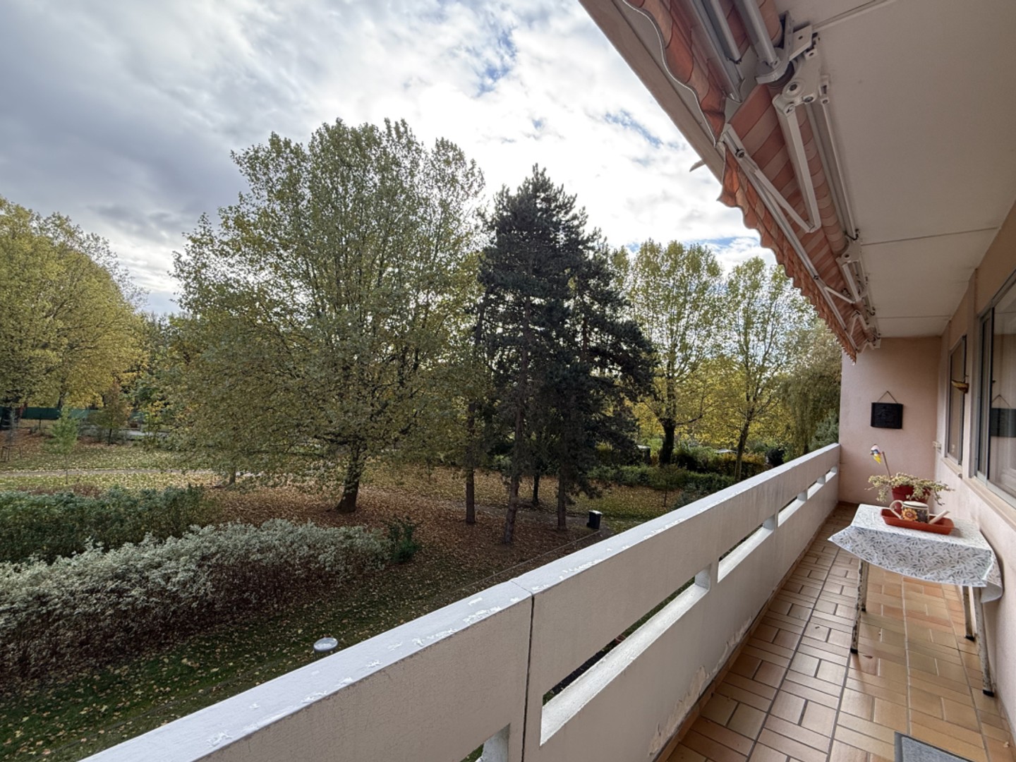 Spacieux 3/4 pièces avec vue dégagée et garage Schiltighei