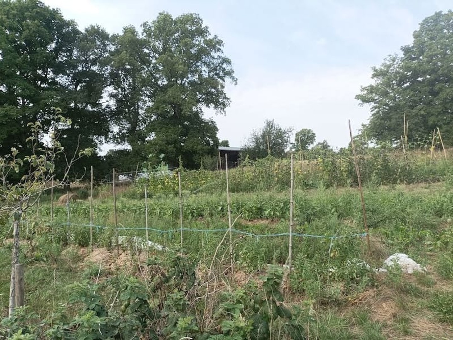 Ferme 2 pièces 92 m²