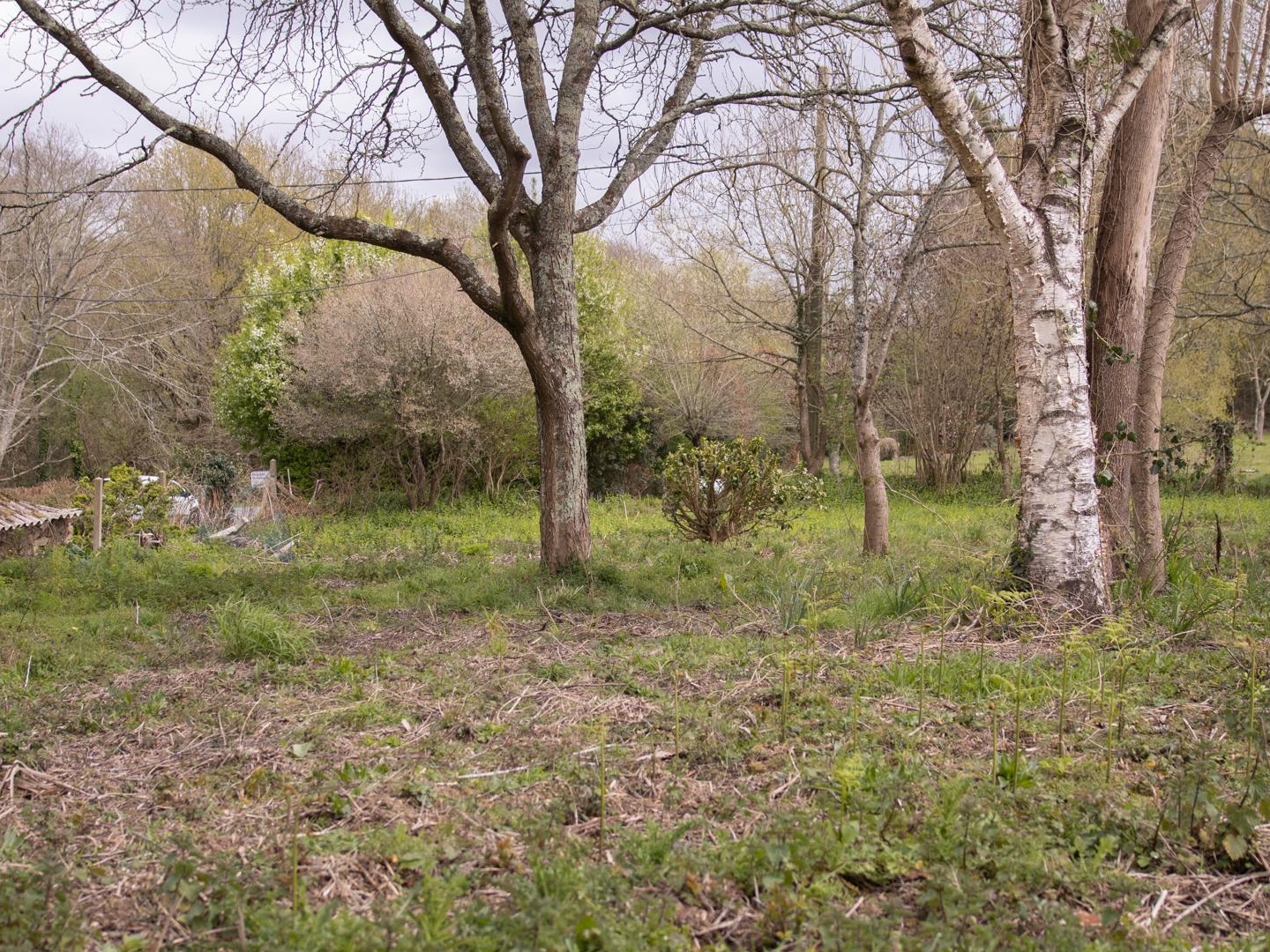 Maison à vendre - 6 pièces - 96m2 - Kervignac (56700)