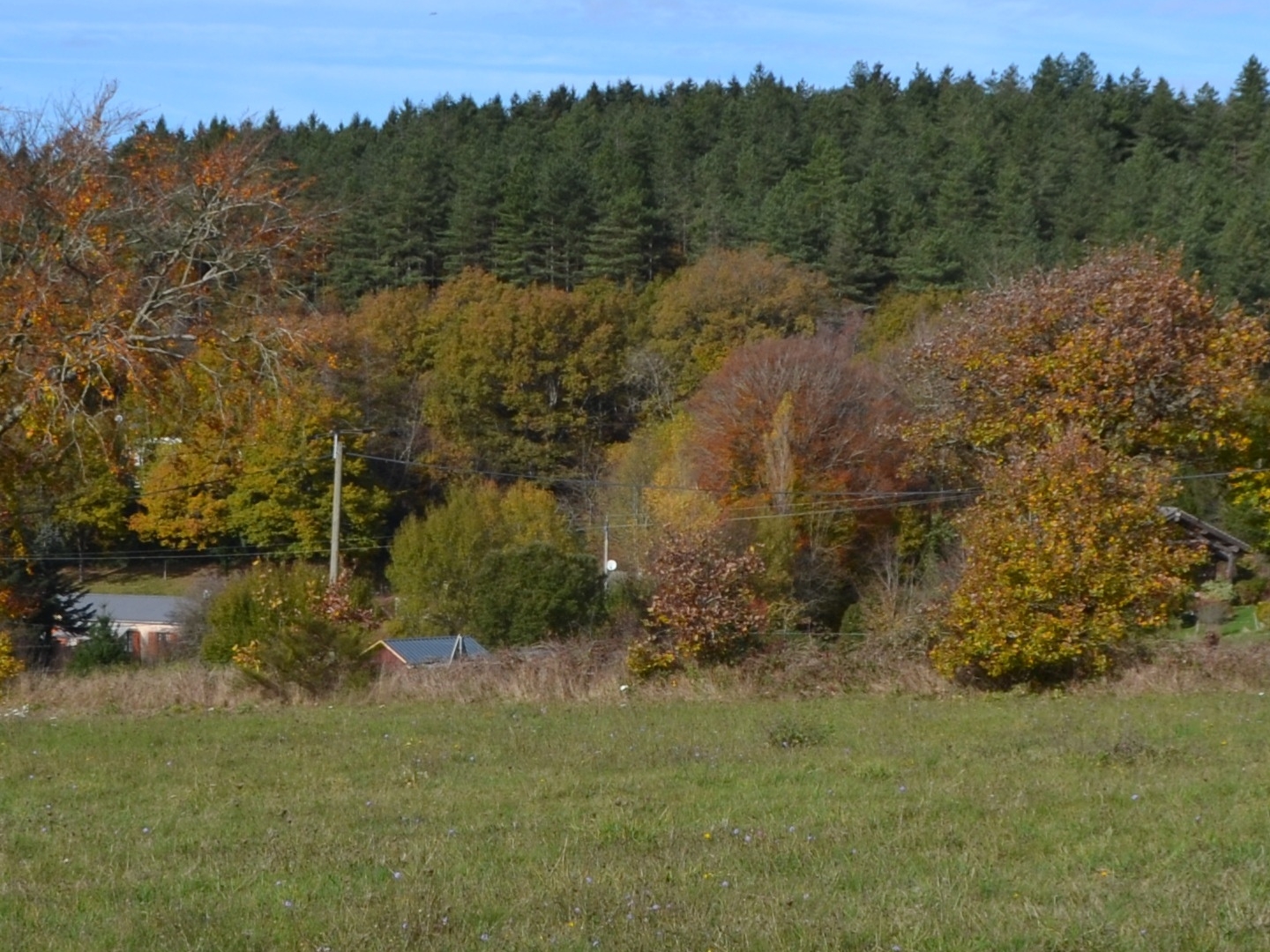 Terrain en individuel 3411 m²