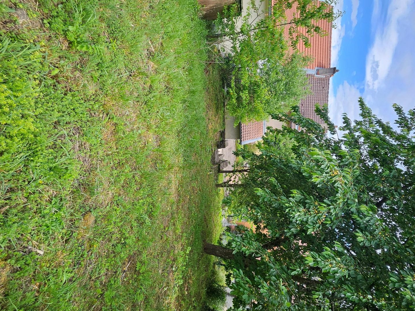 Maison 3 chambres avec garage et jardin