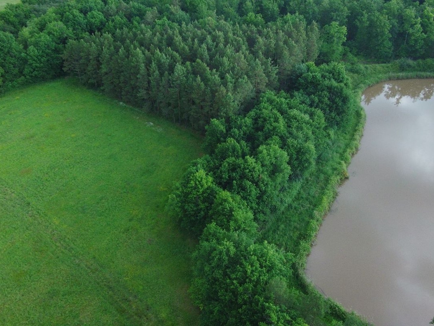Terrain à vendre - 25600m2 - Mur-De-Sologne (41230)