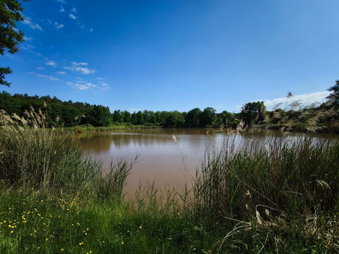 Terrain à vendre - 25600m2 - Mur-De-Sologne (41230)