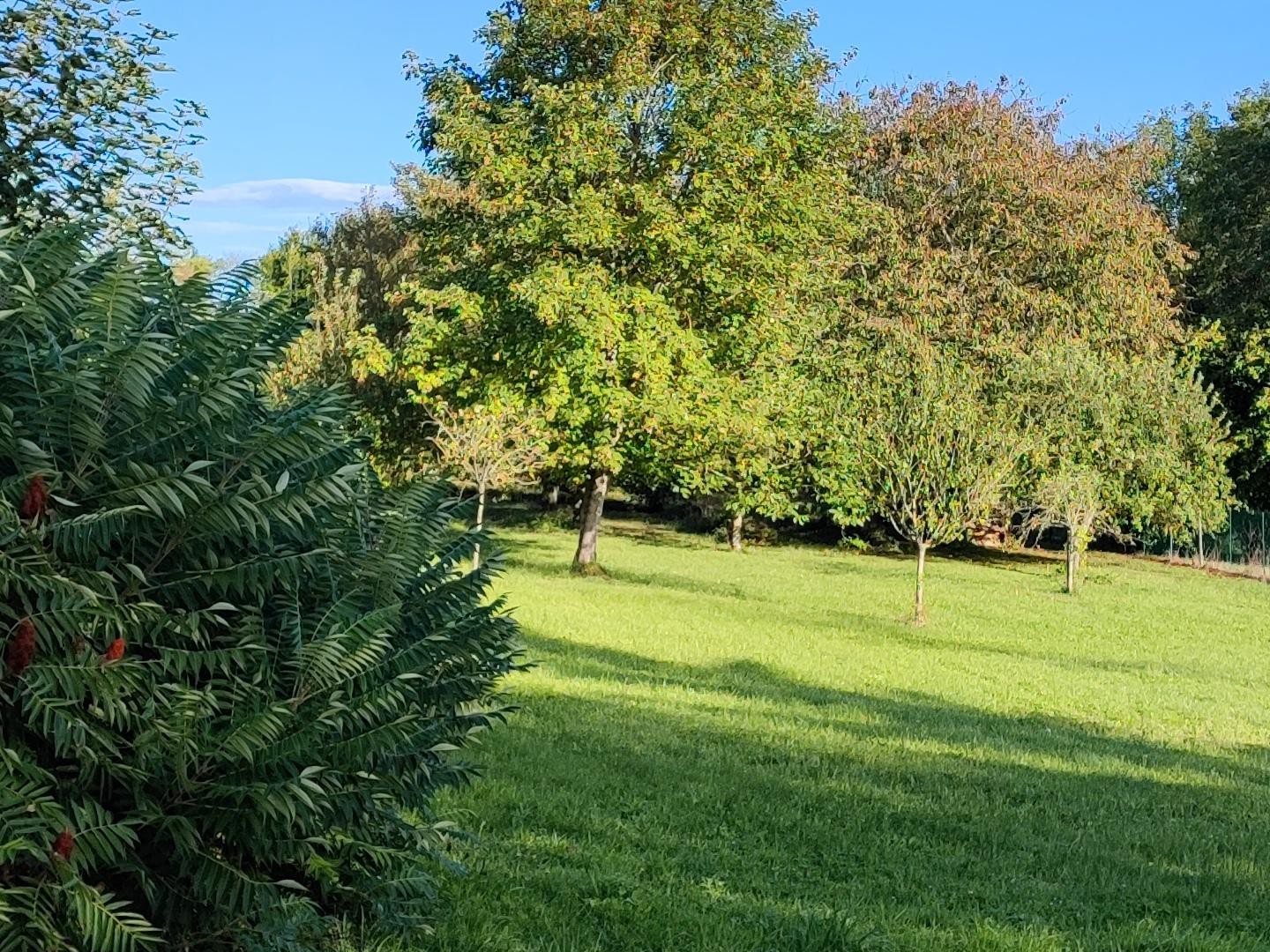 Terrain 1750 m²