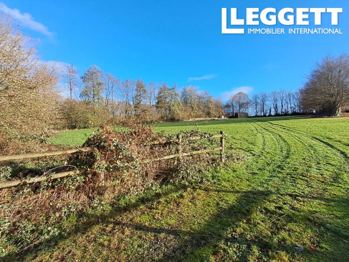 Terrain de pâturage de bonne qualité avec une cabane mobile. Électricité et eau à proximité.