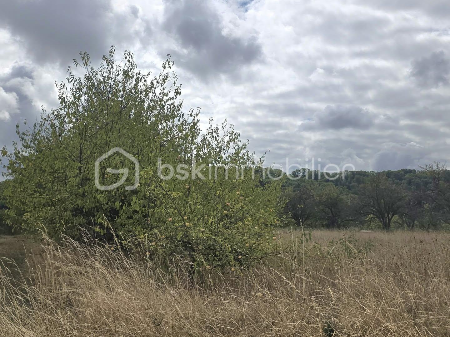 Terrain à vendre - 1900m2 - Vigneulles-Lès-Ha... (55210)
