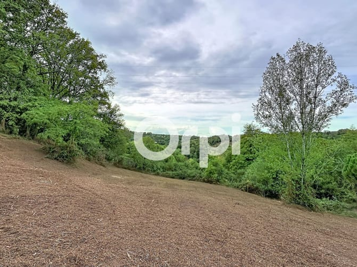 Terrain 2000 m²