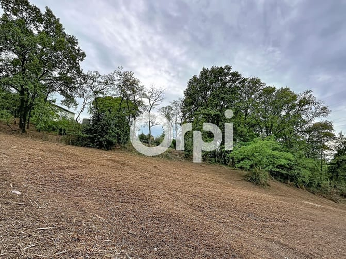 Terrain à vendre - 2000m2 - Brignac-La-Plaine (19310)