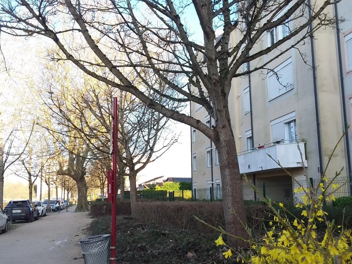 Appartement 3 pièces 62 m²