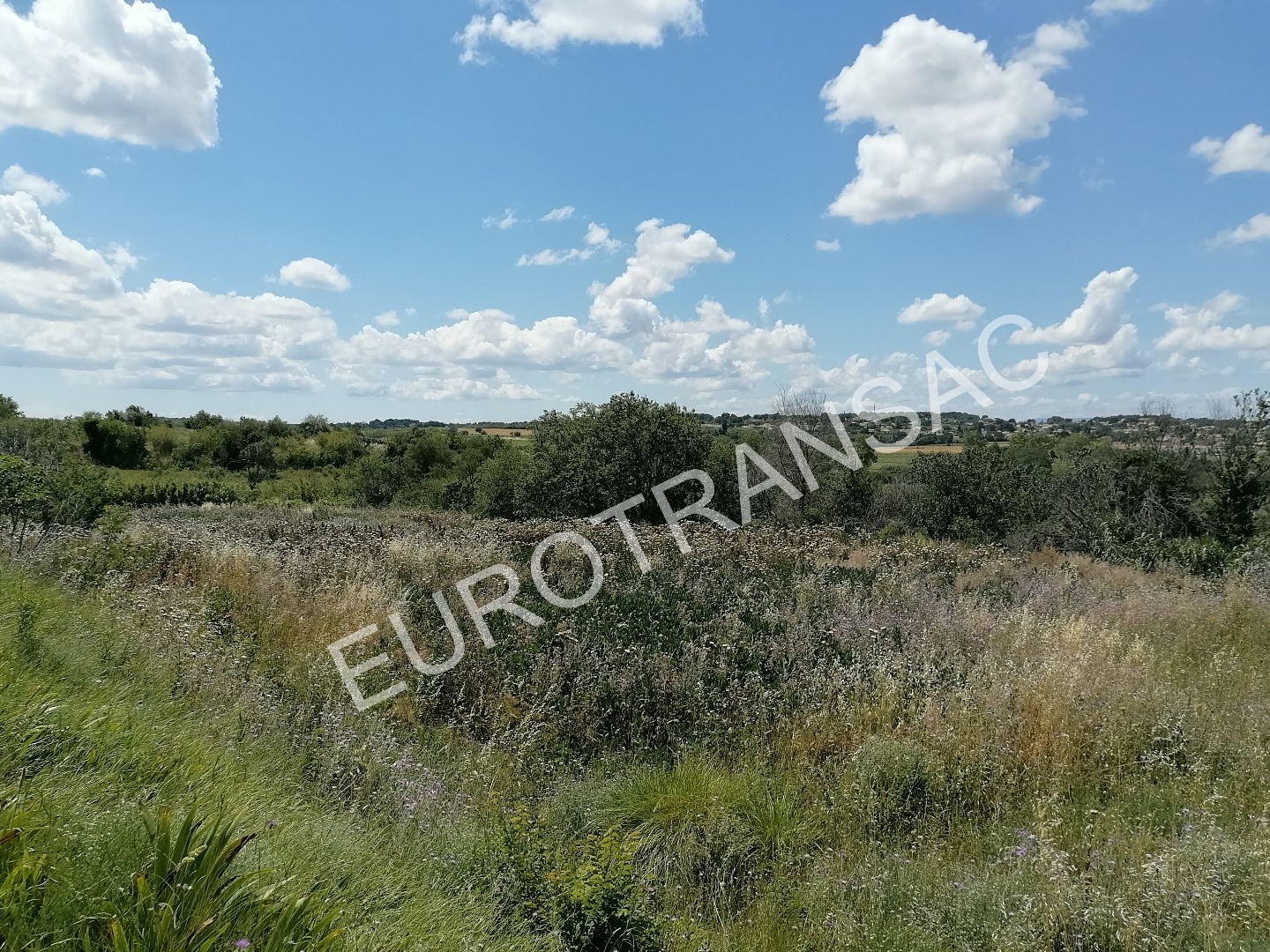 Terrain à vendre - 9000m2 - Tourbes (34120)