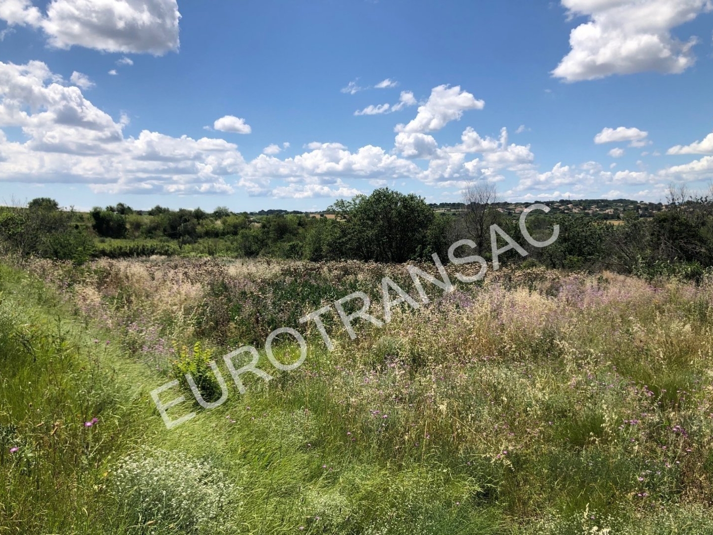 Terrain à vendre - 9000m2 - Tourbes (34120)