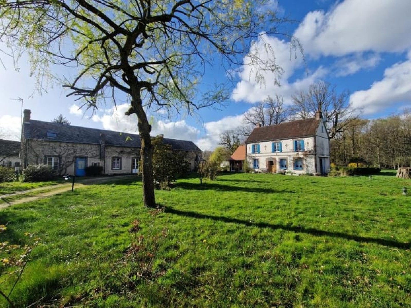 Maison