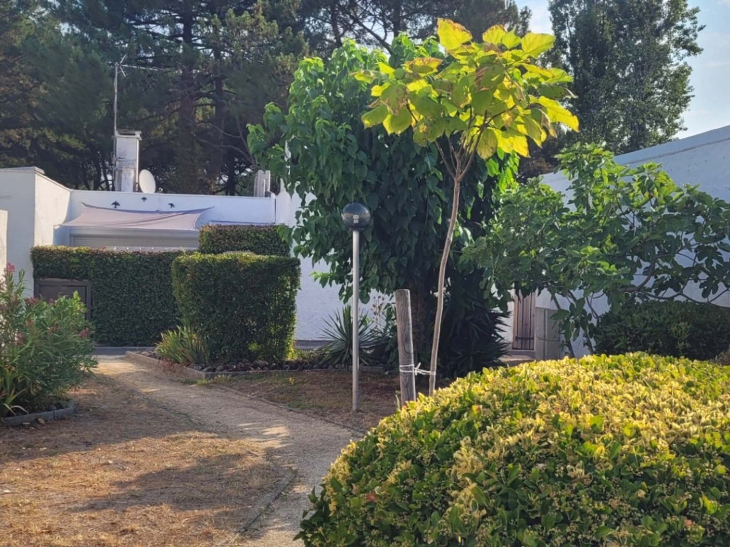 A L'ENTREE D'ARCACHON secteur AIGUILLON (LA TESTE DE BUCH) maison plain pied T3 73m2