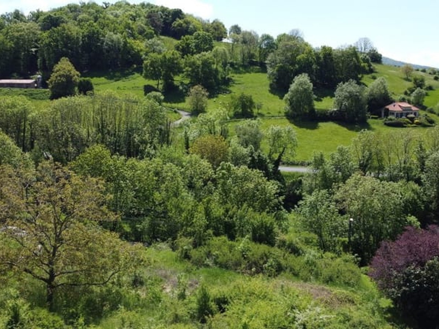 Terrain à vendre - Laps (63270)